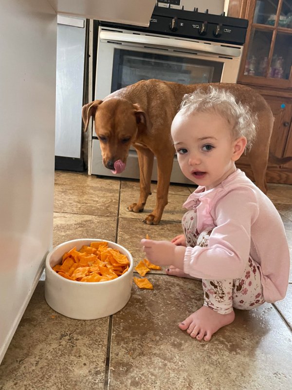Life With Kids Is A Chaos (20 pics)