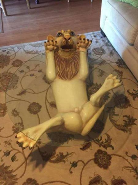 Odd Finds In Thrift Shops (40 pics)