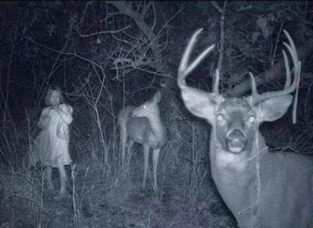 Scary Finds And Photos (46 pics)