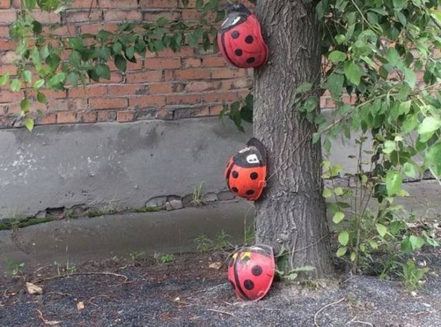 Strange Photos From Russia (40 pics)