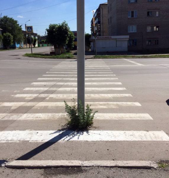 Strange Photos From Russia (40 pics)