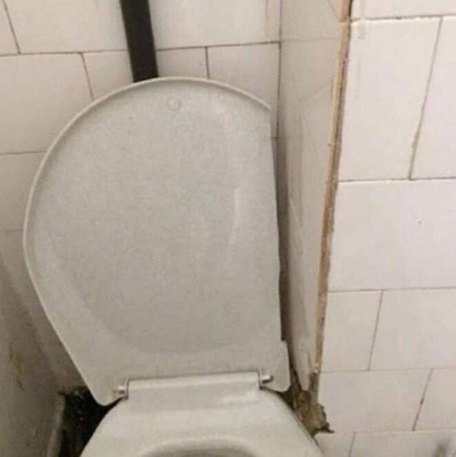 Construction Fails (40 pics)