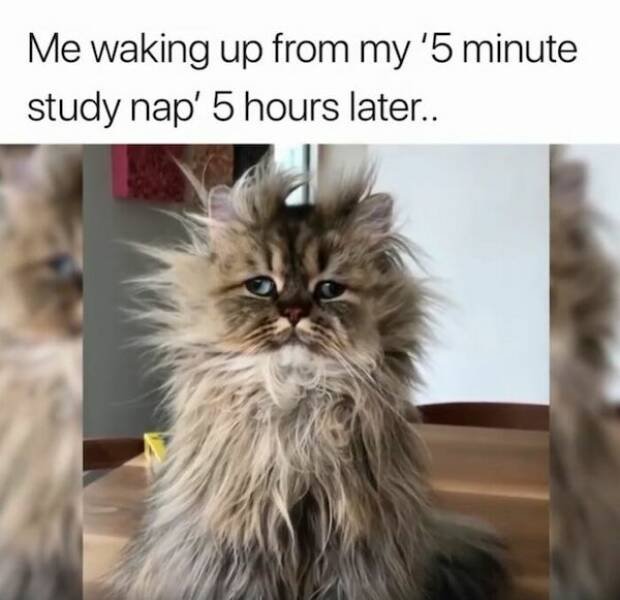 Memes About College Experience (32 pics)