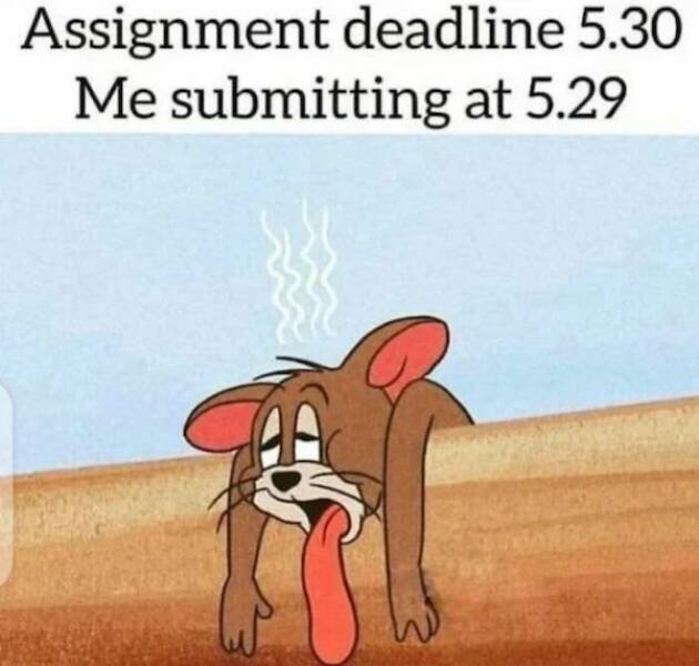 Memes About College Experience (32 pics)
