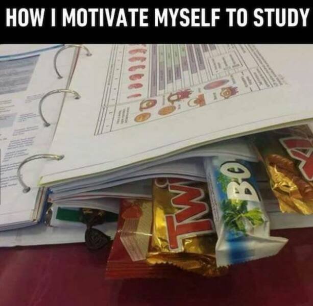 Memes About College Experience (32 pics)