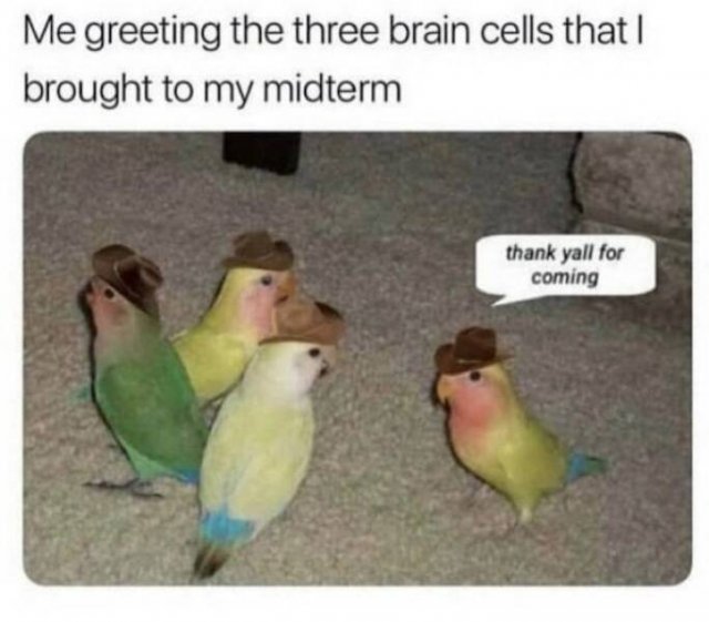 Memes About College Experience (32 pics)