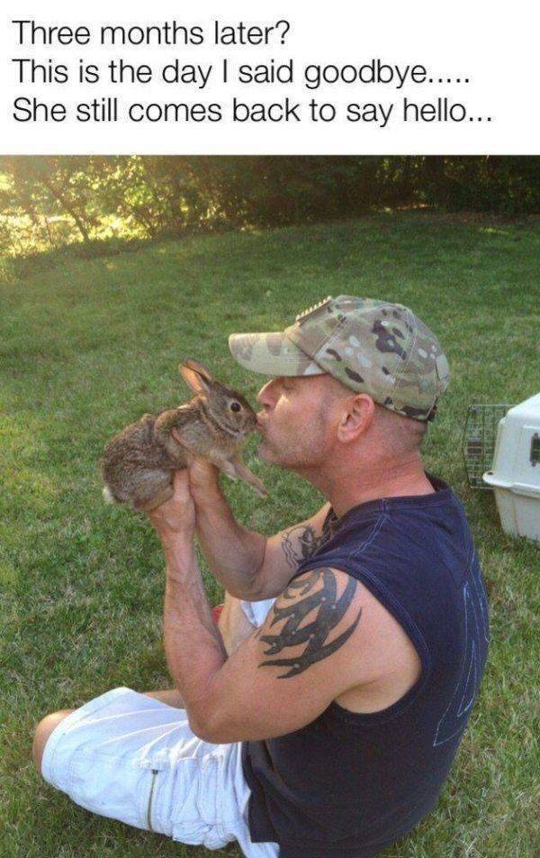 Funny Animals (62 pics)