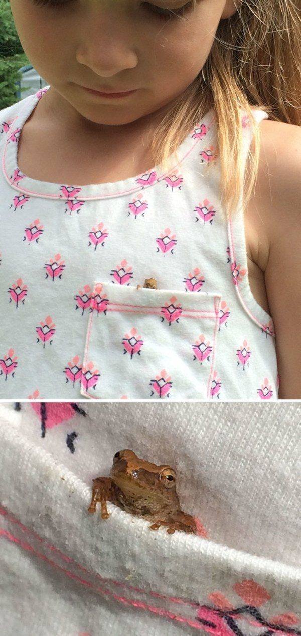 Funny Animals (62 pics)