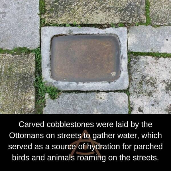 Interesting Historical Finds (22 pics)