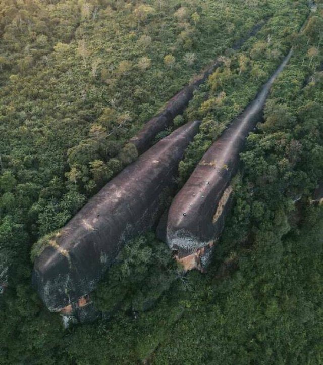 Interesting Historical Finds (22 pics)
