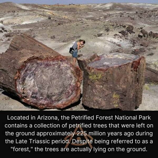 Interesting Historical Finds (22 pics)