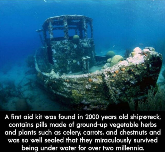 Interesting Historical Finds (22 pics)
