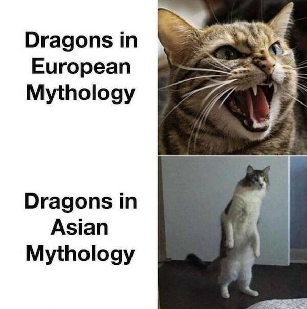 Historical Memes (25 pics)