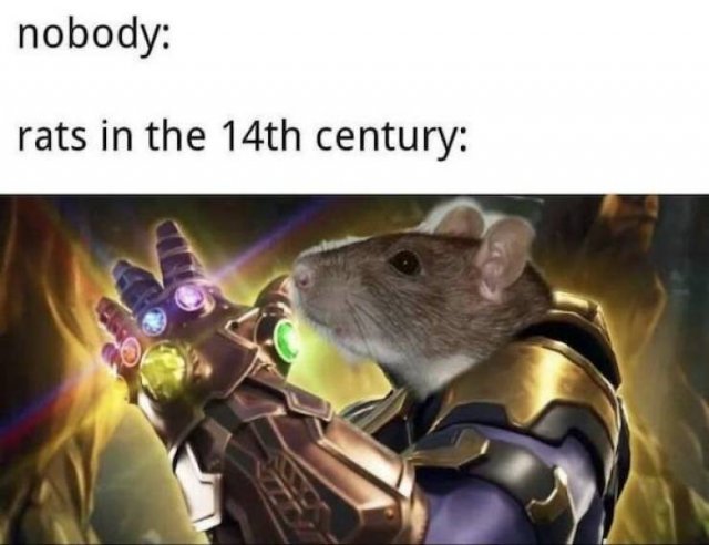 Historical Memes (25 pics)