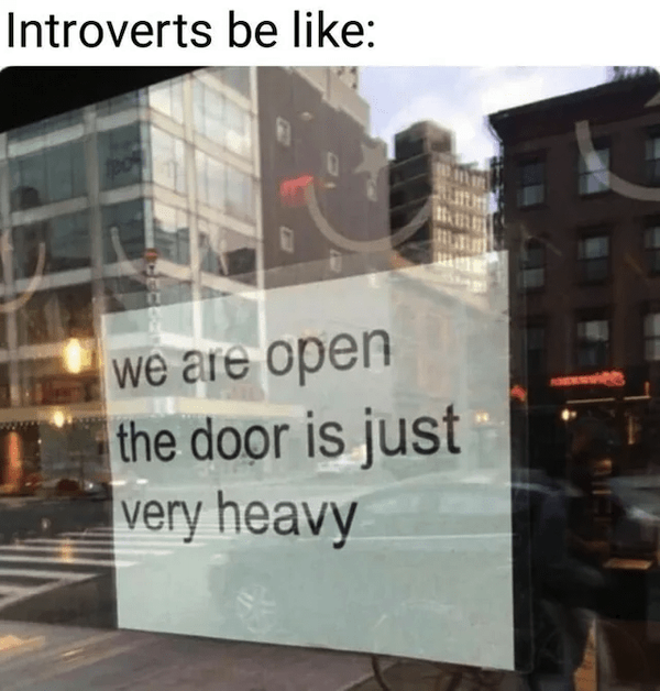 Memes For Introverts (24 pics)