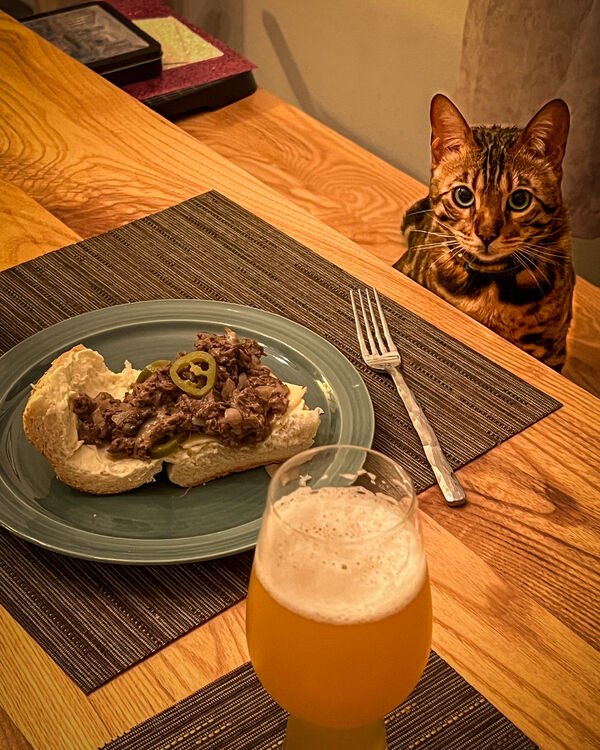 Cute And Funny Cats (26 pics)
