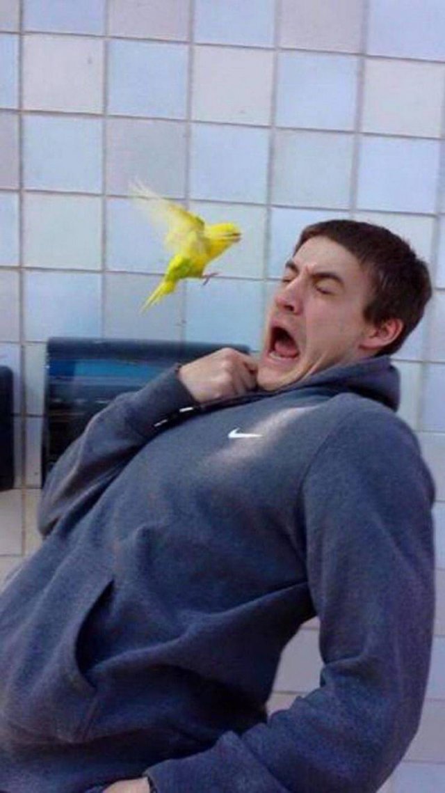 What Is Going On Here? (52 pics)