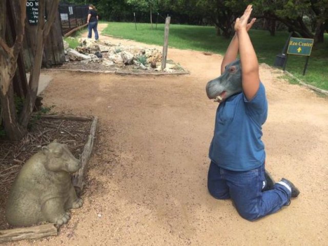 What Is Going On Here? (52 pics)