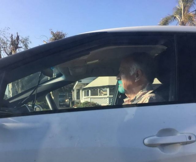 What Is Going On Here? (52 pics)