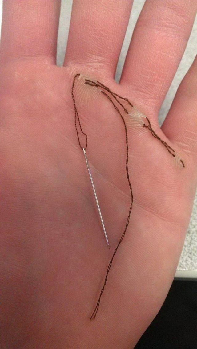 What Is Going On Here? (52 pics)