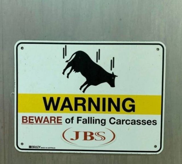 What Is Going On Here? (52 pics)