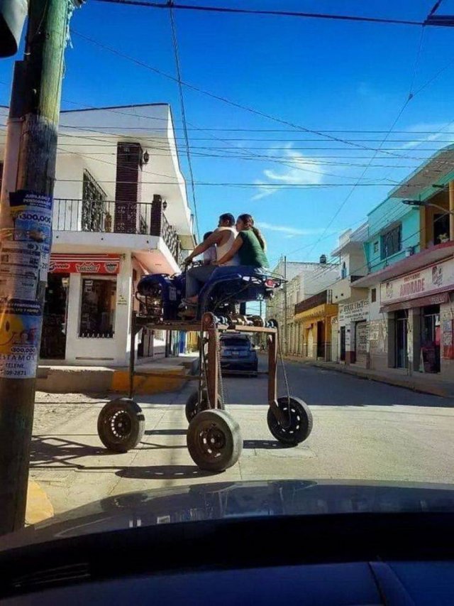 What Is Going On Here? (52 pics)