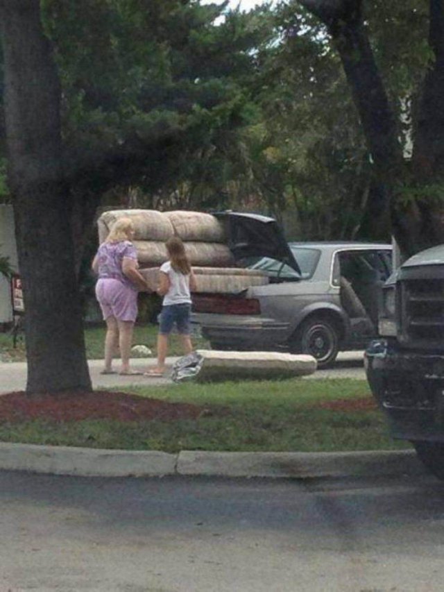 What Is Going On Here? (52 pics)