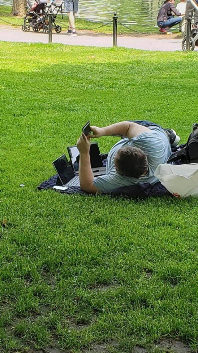 What Is Going On Here? (52 pics)