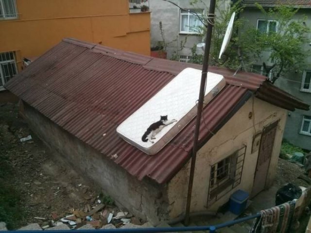Strange Photos From Russia (41 pics)