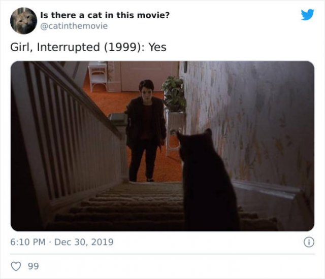 Cats That Have Been Spotted In Movies (30 pics)