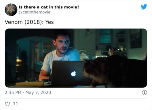 Cats That Have Been Spotted In Movies (30 pics)