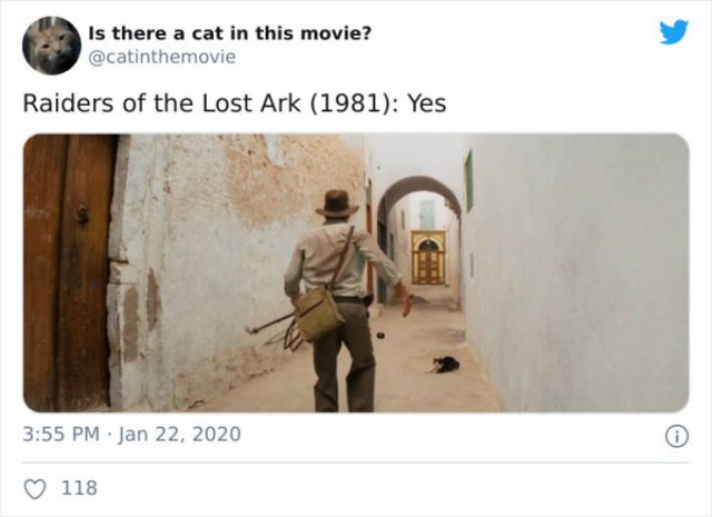 Cats That Have Been Spotted In Movies (30 pics)