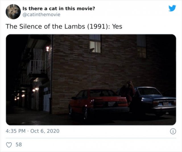 Cats That Have Been Spotted In Movies (30 pics)