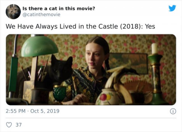 Cats That Have Been Spotted In Movies (30 pics)