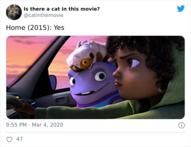 Cats That Have Been Spotted In Movies (30 pics)