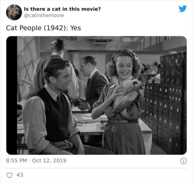 Cats That Have Been Spotted In Movies (30 pics)