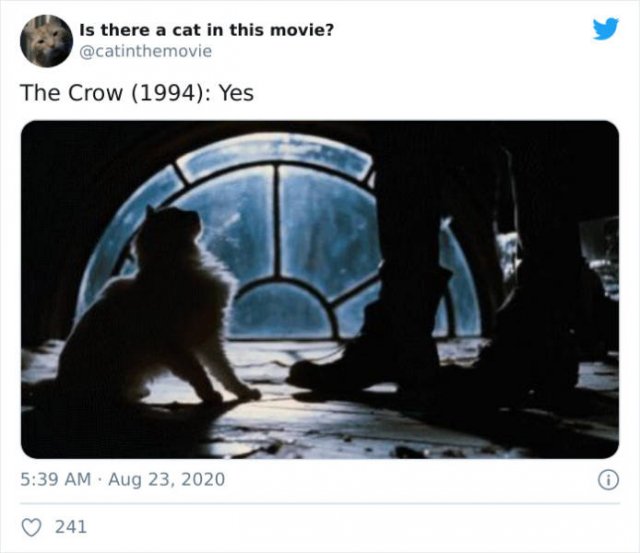 Cats That Have Been Spotted In Movies (30 pics)