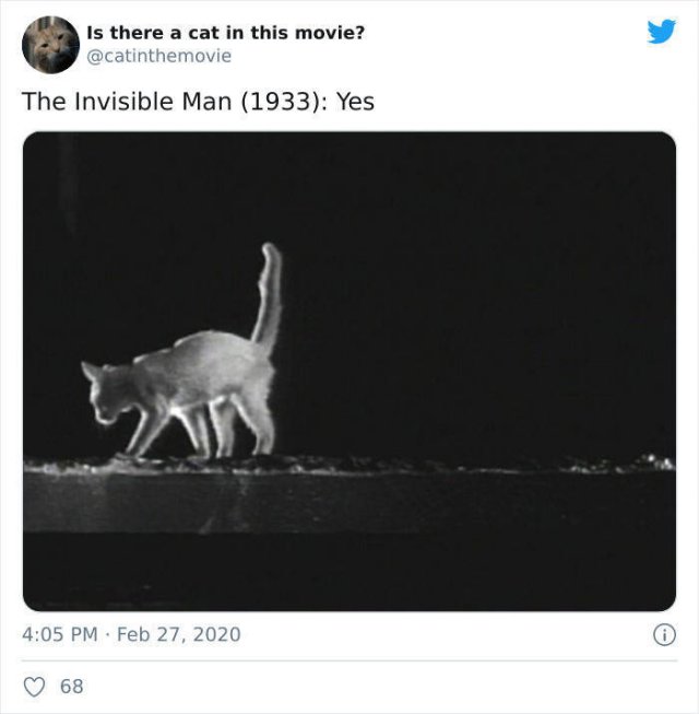 Cats That Have Been Spotted In Movies (30 pics)
