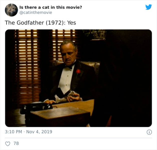 Cats That Have Been Spotted In Movies (30 pics)