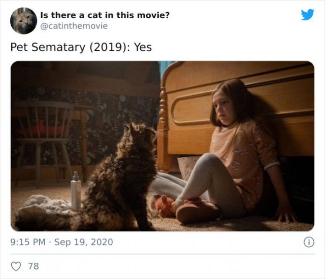 Cats That Have Been Spotted In Movies (30 pics)