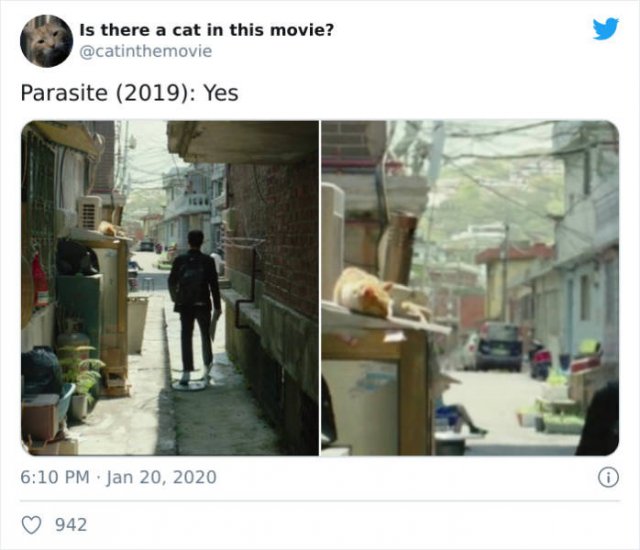 Cats That Have Been Spotted In Movies (30 pics)