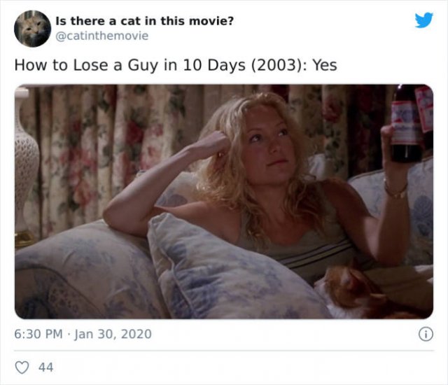 Cats That Have Been Spotted In Movies (30 pics)