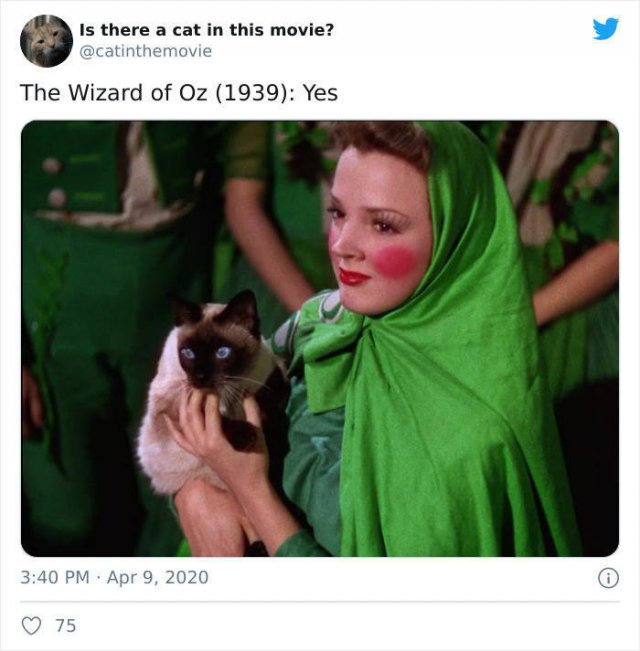Cats That Have Been Spotted In Movies (30 pics)