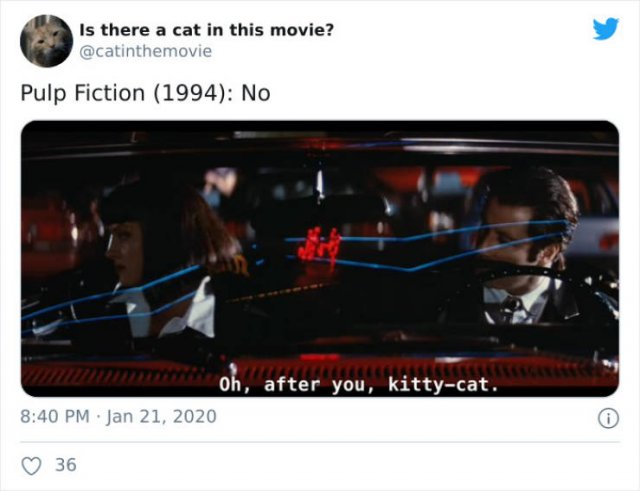 Cats That Have Been Spotted In Movies (30 pics)