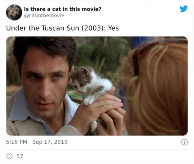 Cats That Have Been Spotted In Movies (30 pics)