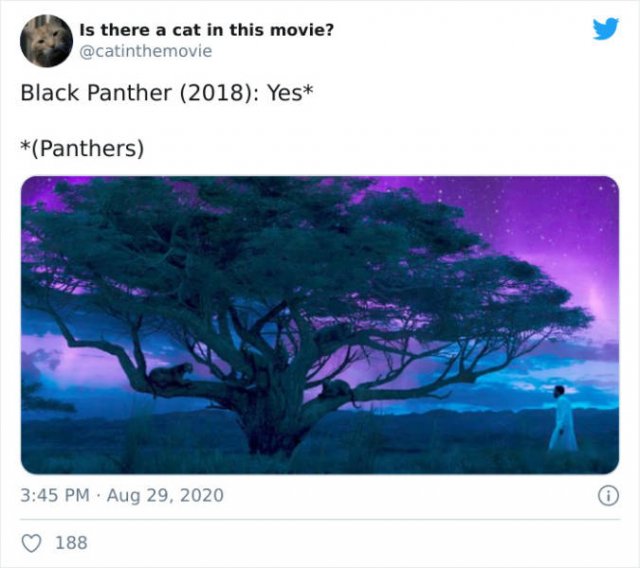 Cats That Have Been Spotted In Movies (30 pics)