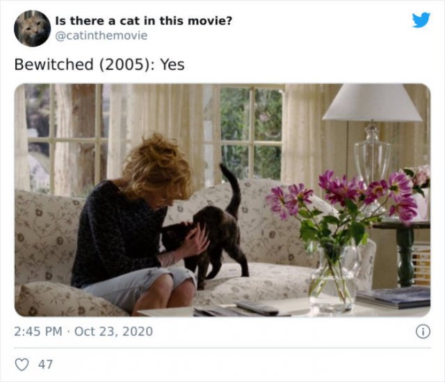 Cats That Have Been Spotted In Movies (30 pics)