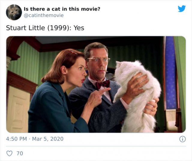 Cats That Have Been Spotted In Movies (30 pics)