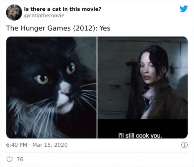 Cats That Have Been Spotted In Movies (30 pics)