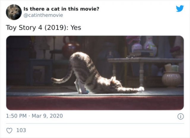 Cats That Have Been Spotted In Movies (30 pics)